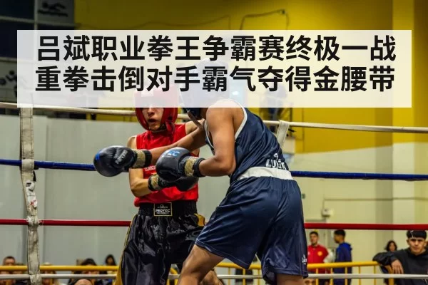 吕斌职业拳王争霸赛终极一战重拳击倒对手霸气夺得金腰带