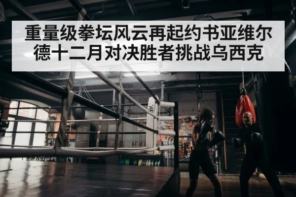 boxer training