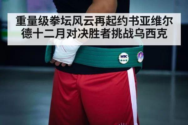 boxing champion belt