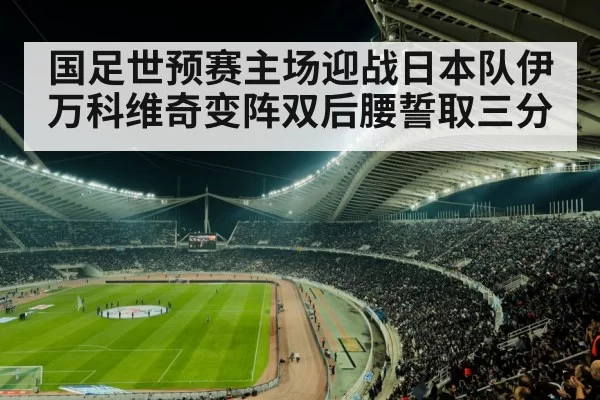 soccer stadium crowd